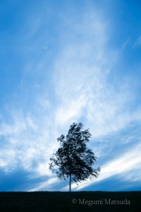 ADS_2216-1