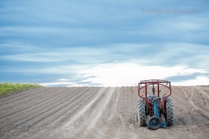 ADS_2268-1-3