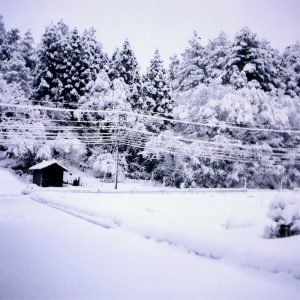 雪景色